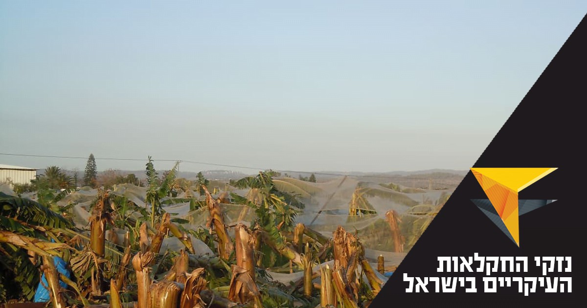 מהם נזקי החקלאות העיקריים בישראל?