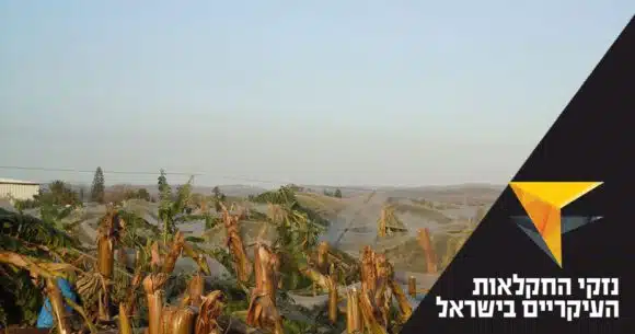 המאבק – האם שמאי הרכב או המוסכניק יקבעו את מחירי החלפים? - לימודים וקריירה