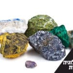 גמולוגיה והערכת אומנות