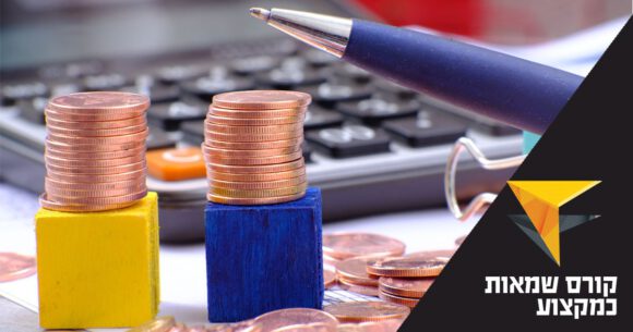 שמאות אומנות כמקצוע