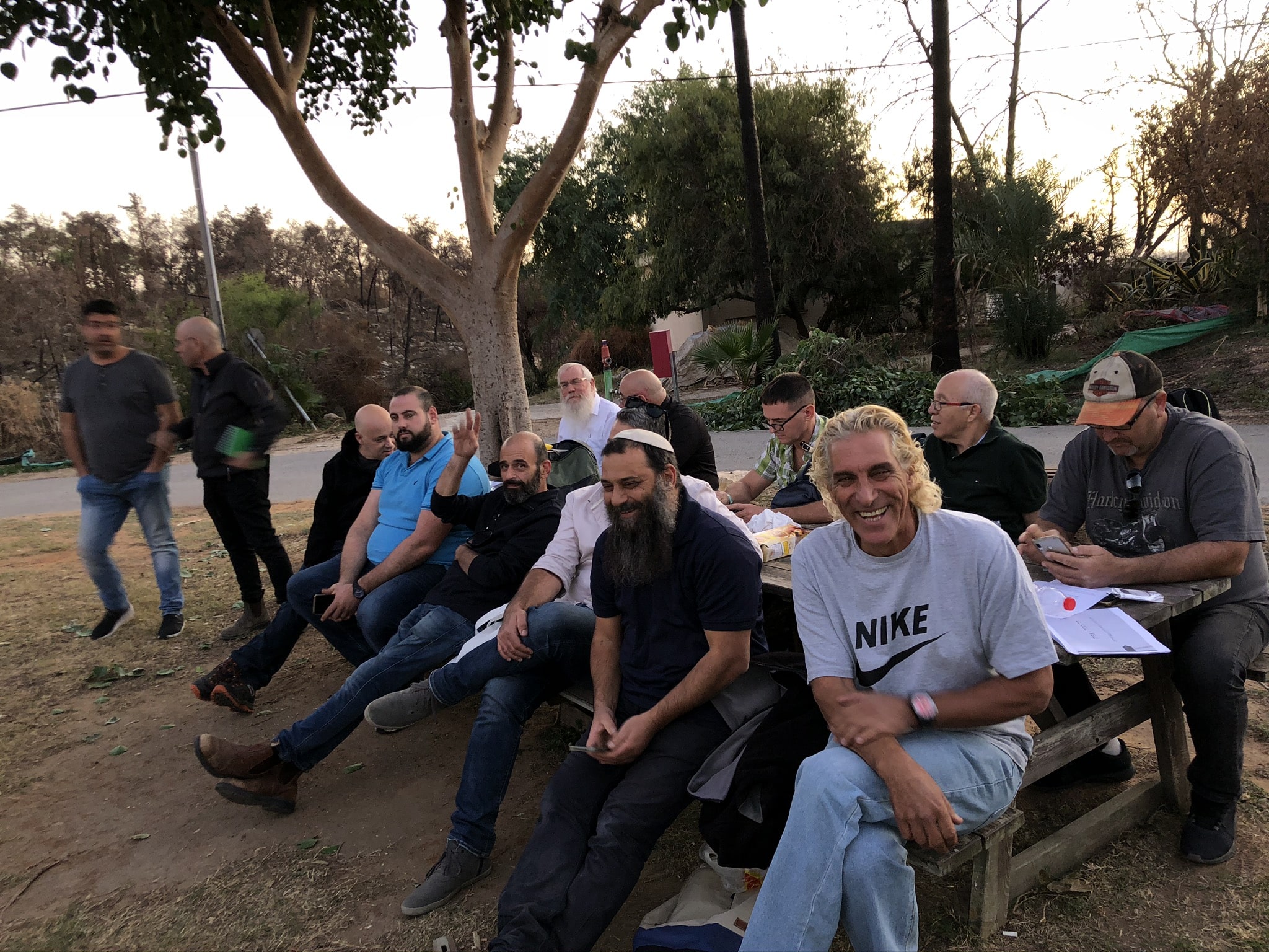 - תמונה
