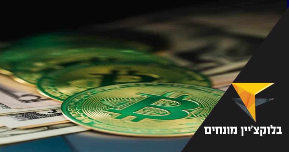 בלוקצ'יין מונחים – מה זה בלוקים ומונחים נוספים?