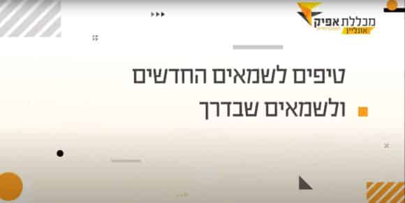 לימודי שמאות רכוש: מה זה שמאי רכוש ובמה הוא עובד? מדריך – מכללת אפיק - לימודים וקריירה, שמאות רכוש