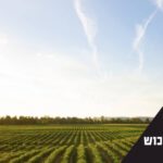 שדה: כיתוב: תפקיד שמאי רכוש וחקלאות