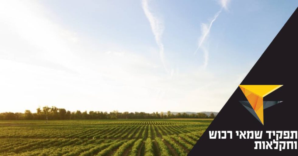 תפקיד שמאי רכוש – הגדרה ותחומי אחריות – מכללת אפיק