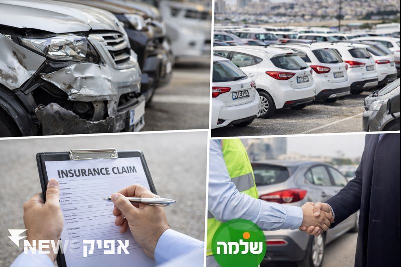 התמודדות עם אתגרים ביטוחיים בתחום השכרת הרכב בישראל   כללי