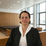 החלטה משפטית: השפעת שקרים לא רלוונטיים בתביעות ביטוח   כללי