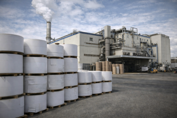 השפעת ההנהלה החדשה על צמיחת שניב תעשיות נייר   כללי