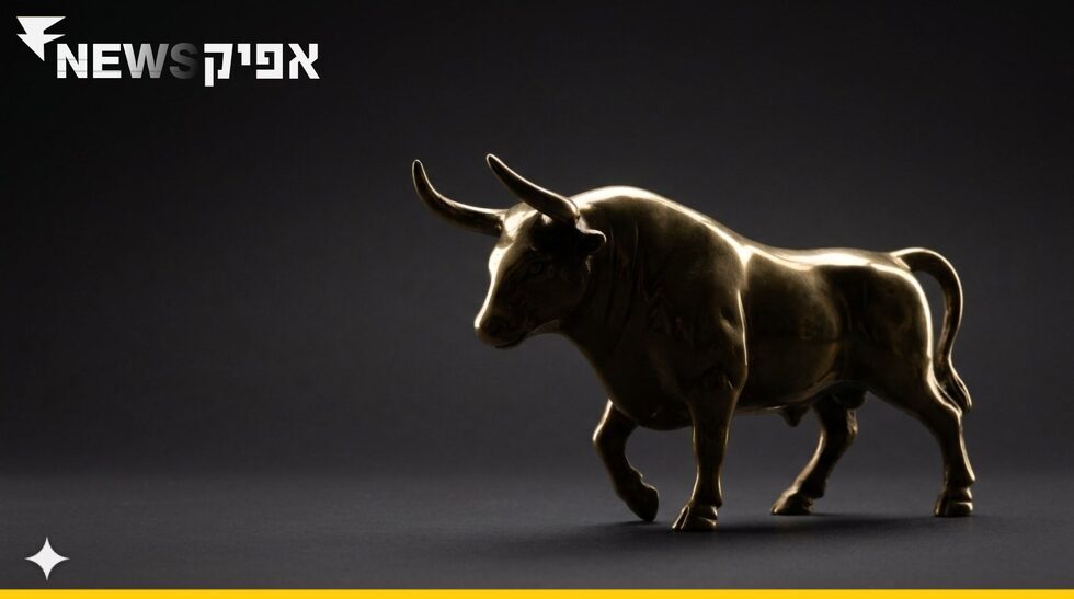 השוק הישראלי כבר הכפיל את עצמו, אז איפה כדאי להשקיע עכשיו?